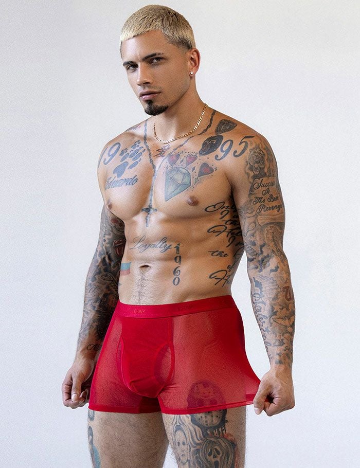 C-IN2 前開き ボクサーパンツ SHEER BOXER BRIEF （ローワンレッド） シースルー メッシュ CIN2 シーインツー メンズ下着 インナー 男性 パンツ アンダーウェア ブランド