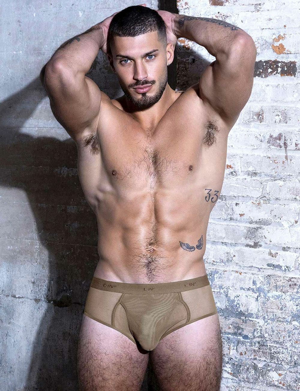 C-IN2 前開き ブリーフ ビキニ SHEER Fly Front Brief （ダークヌード） シースルー メッシュ CIN2 シーインツー メンズ下着 インナー 男性 パンツ アンダーウェア ブランド