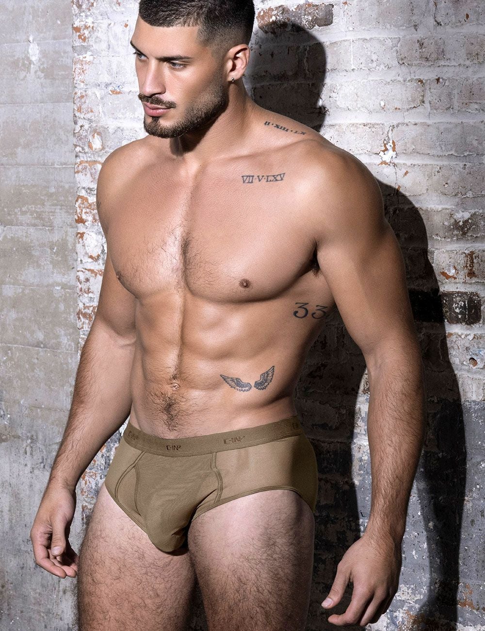 C-IN2 前開き ブリーフ ビキニ SHEER Fly Front Brief （ダークヌード） シースルー メッシュ CIN2 シーインツー メンズ下着 インナー 男性 パンツ アンダーウェア ブランド