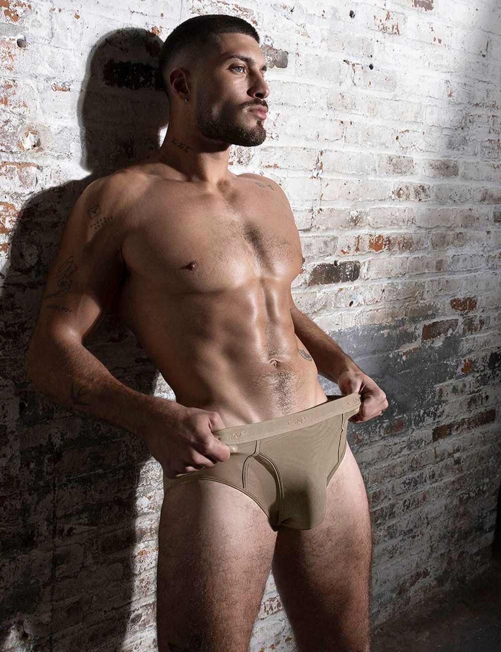 C-IN2 前開き ブリーフ ビキニ SHEER Fly Front Brief （ダークヌード） シースルー メッシュ CIN2 シーインツー メンズ下着 インナー 男性 パンツ アンダーウェア ブランド