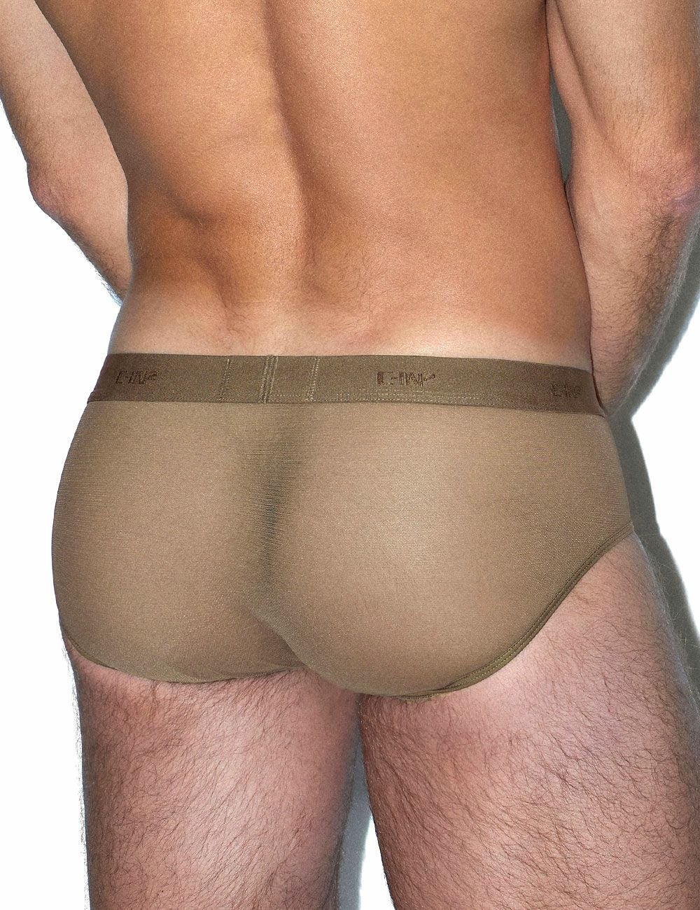C-IN2 前開き ブリーフ ビキニ SHEER Fly Front Brief （ダークヌード） シースルー メッシュ CIN2 シーインツー メンズ下着 インナー 男性 パンツ アンダーウェア ブランド