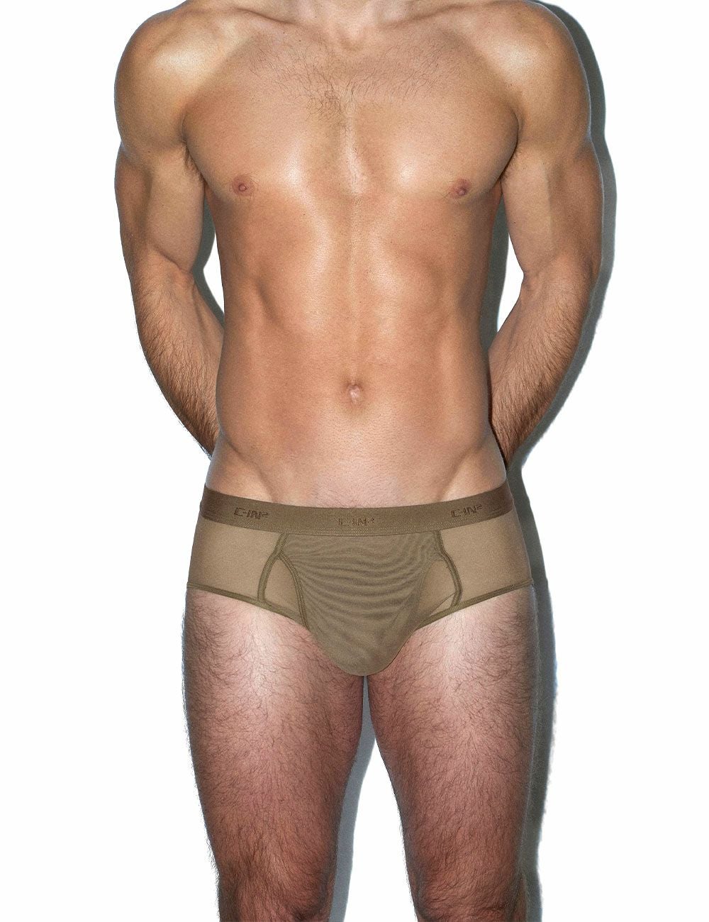C-IN2 前開き ブリーフ ビキニ SHEER Fly Front Brief （ダークヌード） シースルー メッシュ CIN2 シーインツー メンズ下着 インナー 男性 パンツ アンダーウェア ブランド