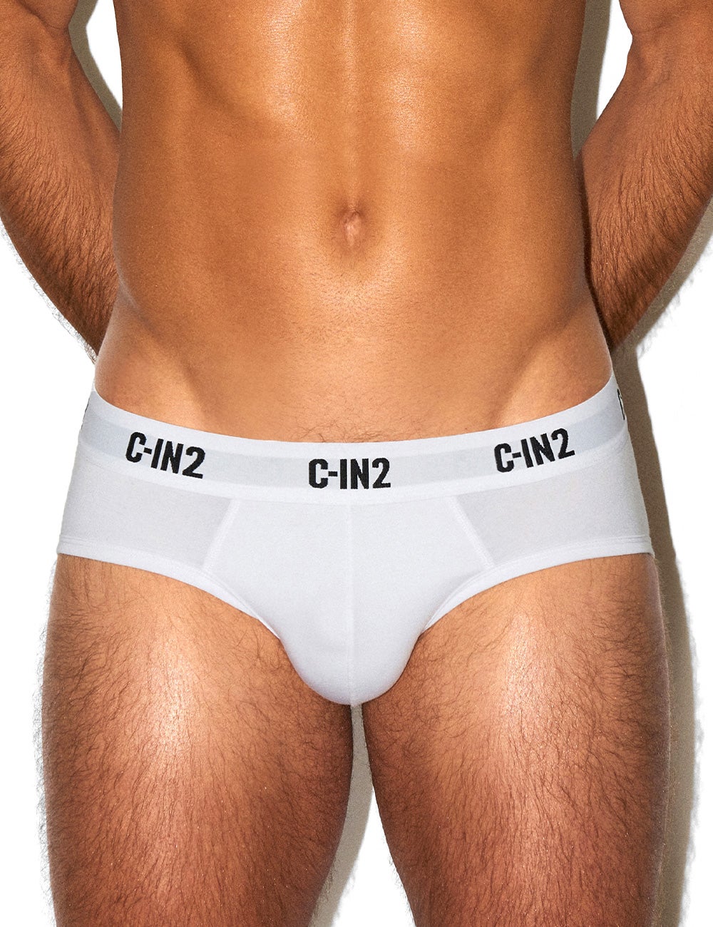 3枚セット C-IN2 ローライズブリーフ ビキニ PREMIUM STRETCH LOW RISE BRIEF CIN2 シーインツー メンズ下着 インナー 男性 パンツ アンダーウェア ブランド