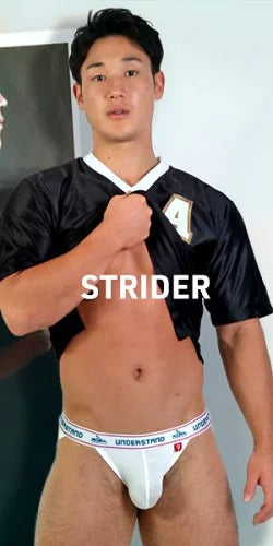 ストライダー