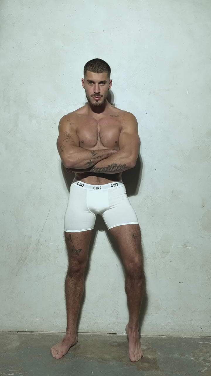 3枚セット C-IN2 ローライズブリーフ ビキニ PREMIUM STRETCH LOW RISE BRIEF CIN2 シーインツー メンズ下着 インナー 男性 パンツ アンダーウェア ブランド