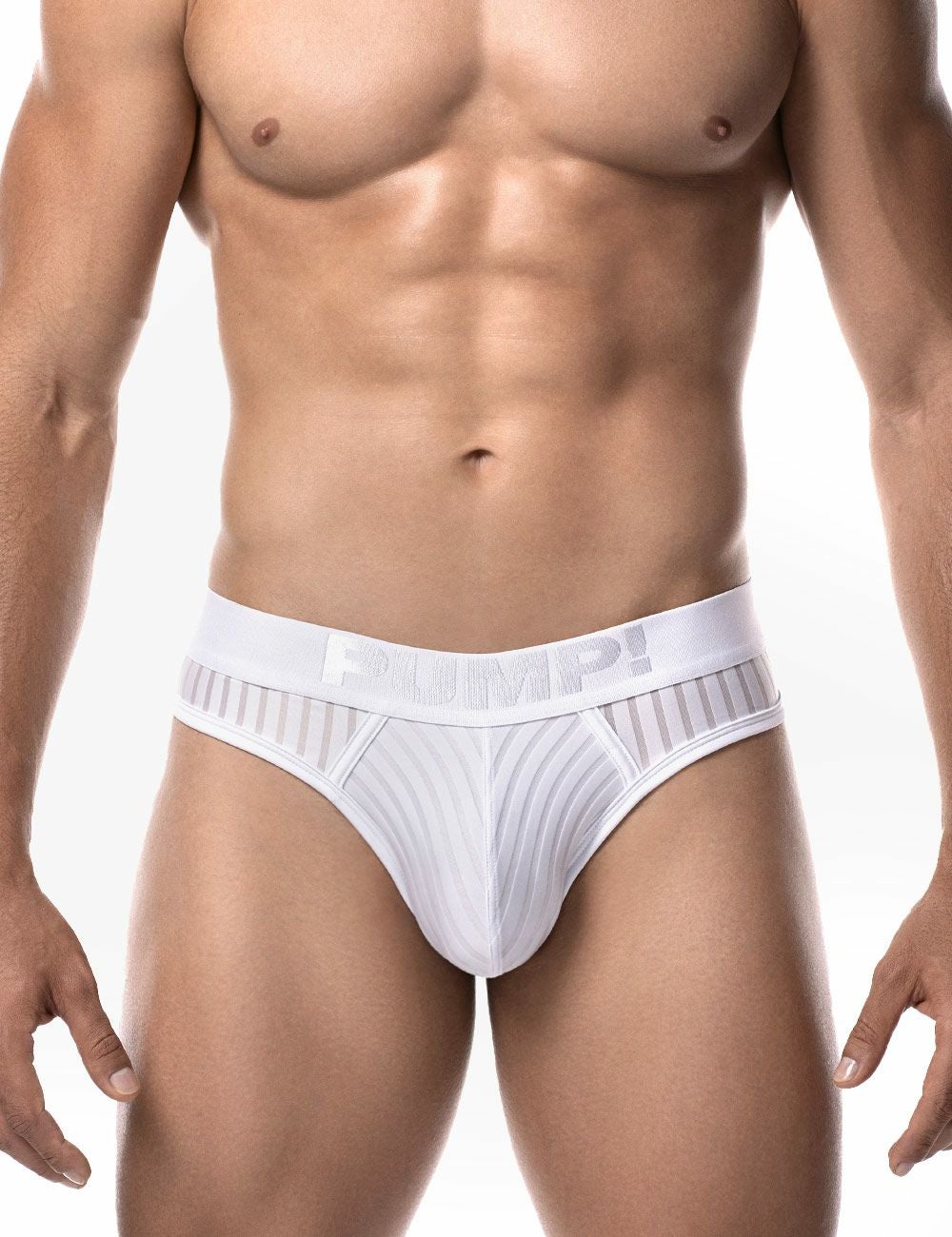 PUMP パンプ Tバック WHISPER THONG（WHITE）シアストライプ PUMP! UnderwearメンズTバック メンズパンツ 男性下着