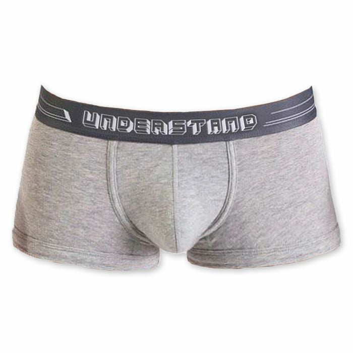 UNDERSTAND アンダースタンド ［アンダー・スタンダード］ ローライズボクサーパンツ （グレー：Grey） メンズ 男性下着 パンツ 無地 ベーシック
