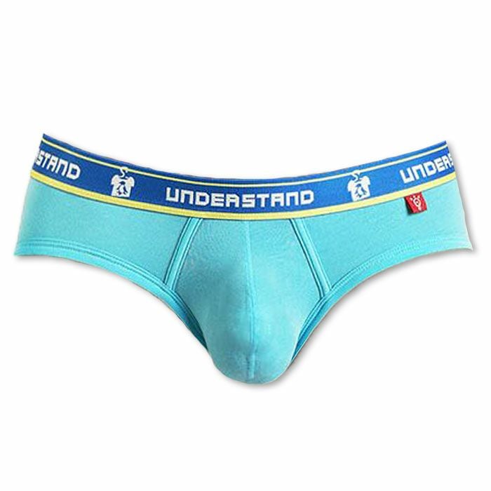 UNDERSTAND アンダースタンド U-PRO ローライズブリーフ （ペンギンクリーニング：Penguin Laundry） モダール生地 メンズ 男性下着