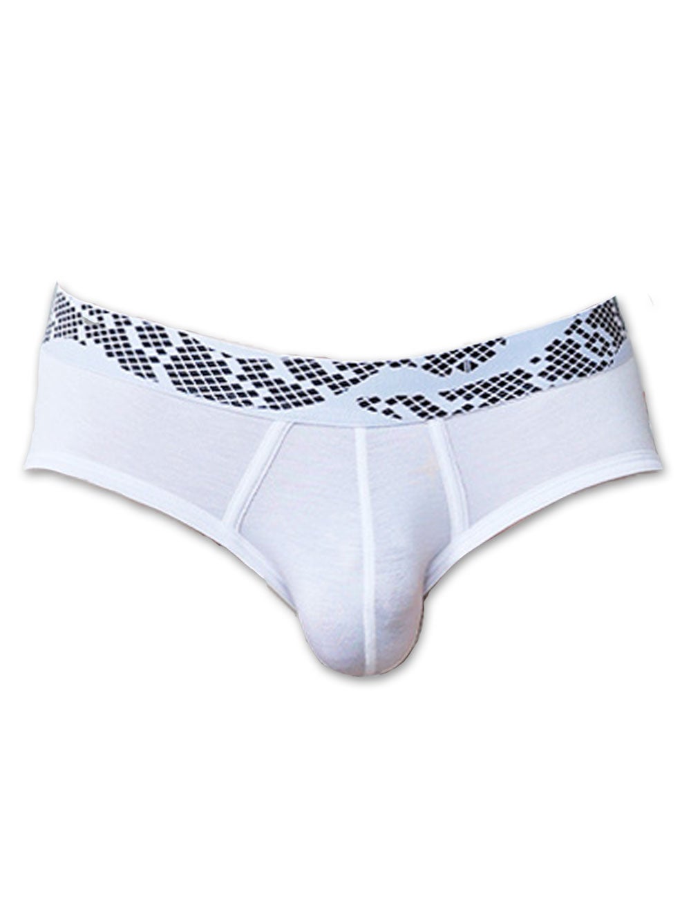UNDERSTAND アンダースタンド ZOO-PANTS ズーパン ローライズブリーフ （ジャ・パン：Snake-Pants） モダール生地 メンズ 男性下着