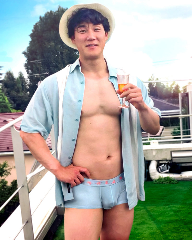 UNDERSTAND アンダースタンド ZOO-PANTS ズーパン ローライズボクサーパンツ （フラミンゴ・パンツ：Flamingo-Pants） モダール生地 メンズ 男性下着