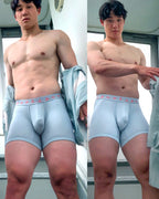 UNDERSTAND アンダースタンド ZOO-PANTS ズーパン モモフィッター ボクサーブリーフ （フラミンゴ・パンツ：Flamingo-Pants） モダール生地 メンズ 男性下着