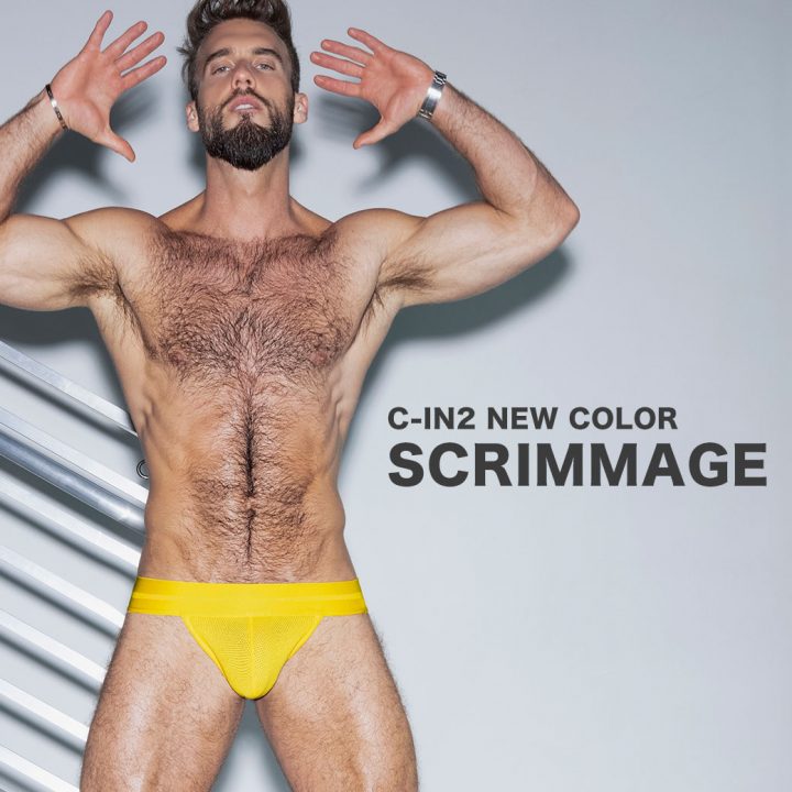 ba_22ss_scri_6-1
