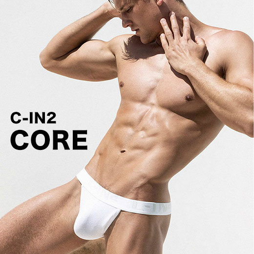blogimg-core2