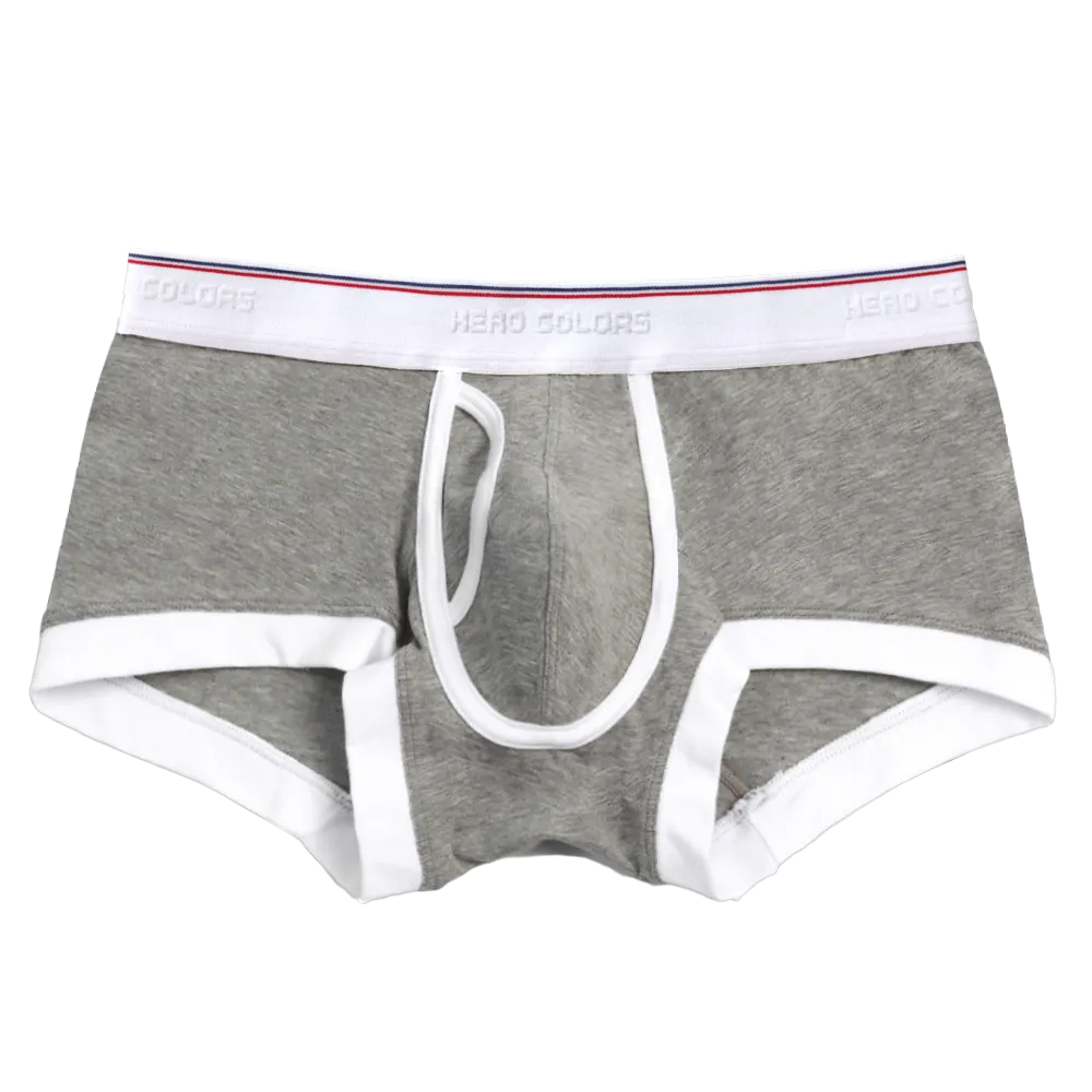 gray_boxer.webp