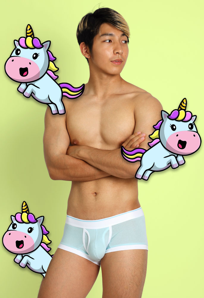 2508_hc_33_slider_boxer